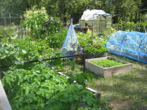 countryside-vegetable-garden